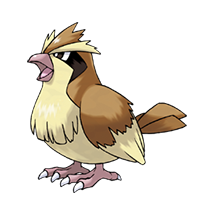 pidgey