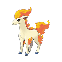 ponyta