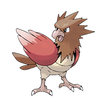 spearow