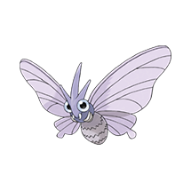 venomoth