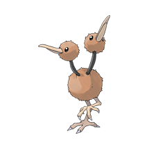 doduo